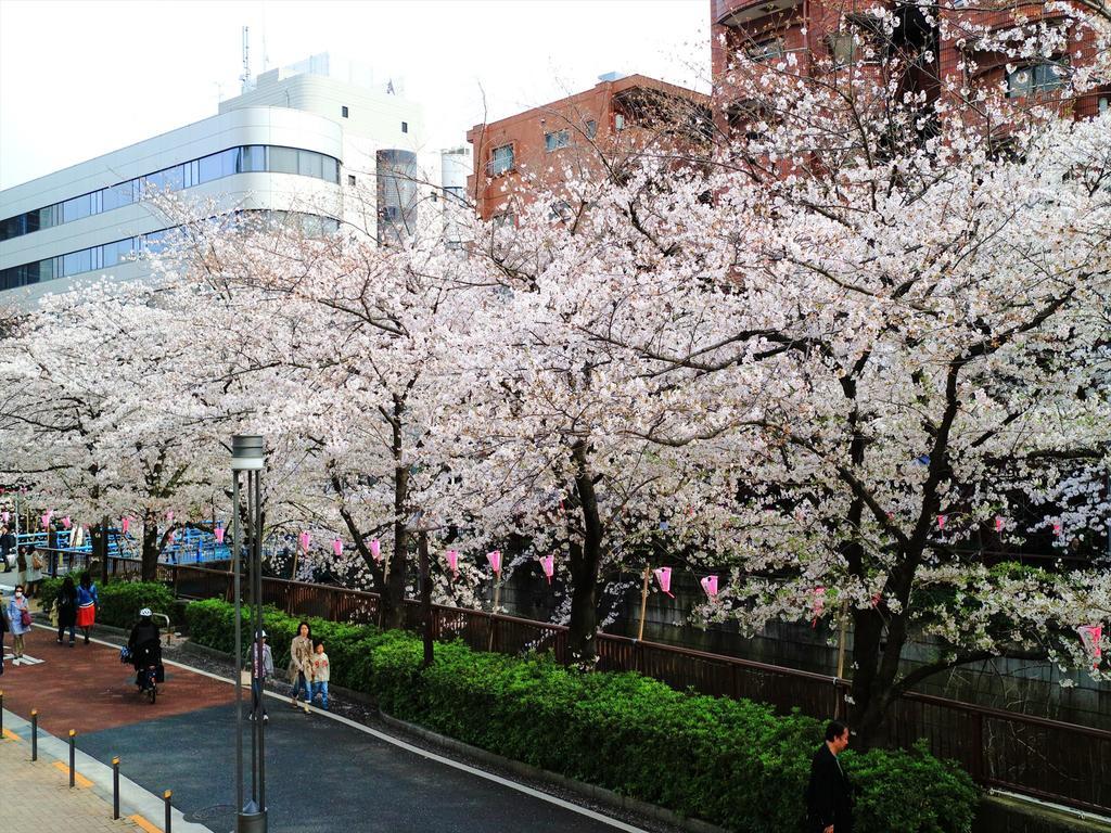 Coto Tokyo Shibuya 2 Apartment Bagian luar foto